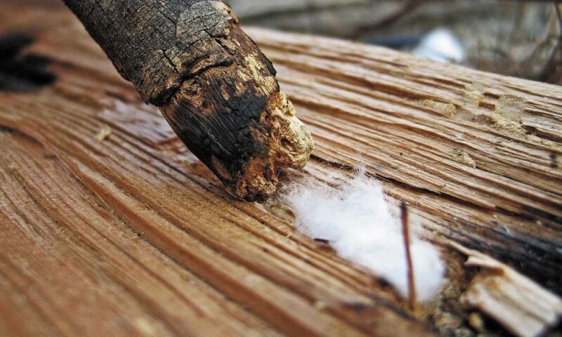 10 неконвенциональных способов развести огонь