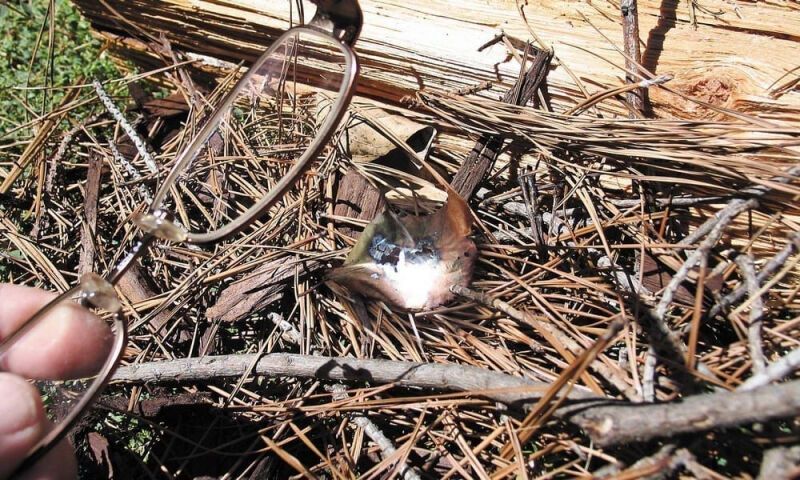 10 неконвенциональных способов развести огонь