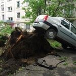 11 погибших при урагане в Москве: Бездействие МЧС или халатность граждан?