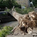 11 погибших при урагане в Москве: Бездействие МЧС или халатность граждан?