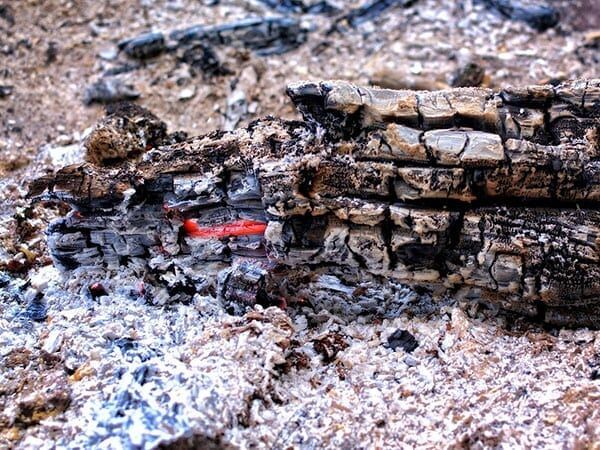 3 основных способа скрыто развести костёр в лесу