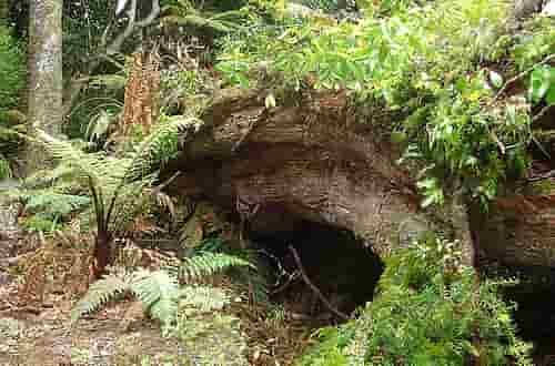 7 признаков идеального убежища для выживания