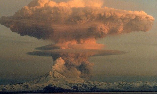 АК или AR: Что лучше для защиты дома, охоты и выживания