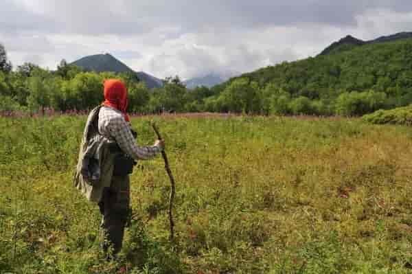 Выживание зависит от условий окружающей среды, настроения и навыков выживальщика