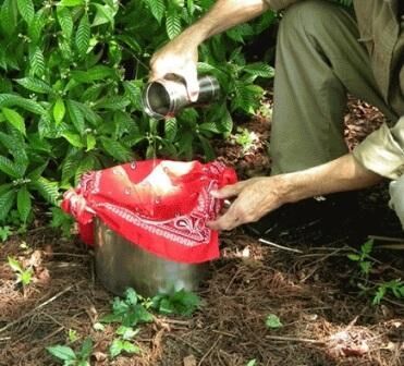 Бандана очищает жидкость