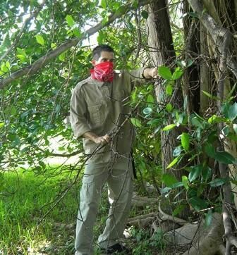 Бандана защищает органы дыхания