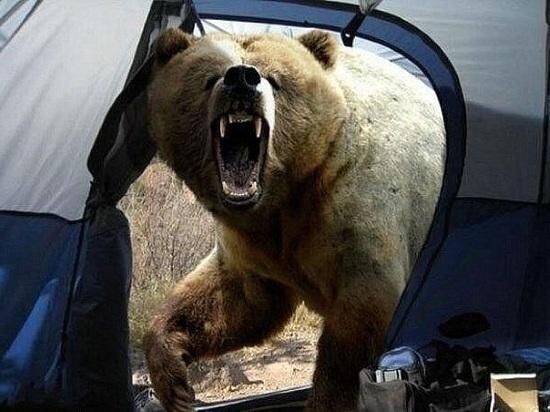 За мгновение до смерти