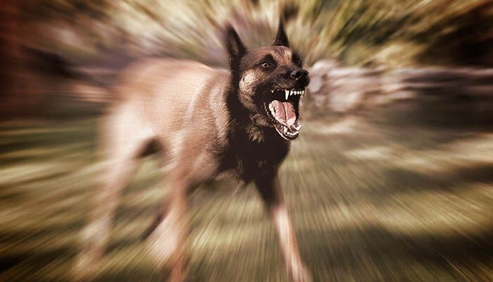 Что такое ситуационная осведомлённость