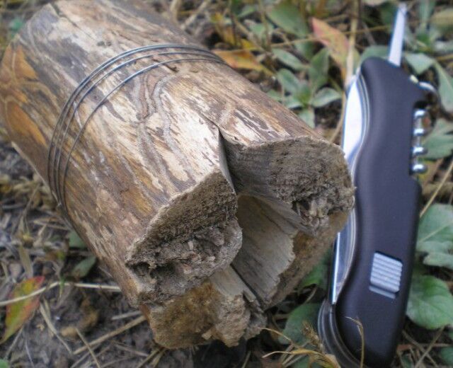 индейская свеча