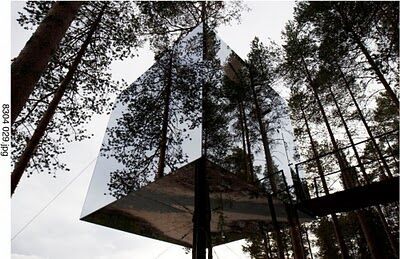 дом на дереве