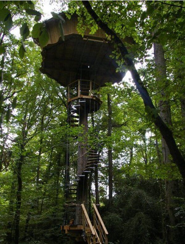 дом на дереве