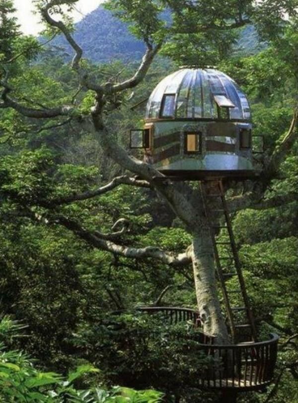 дом на дереве