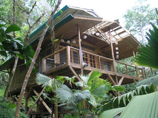 дом на дереве