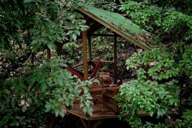 дом на дереве