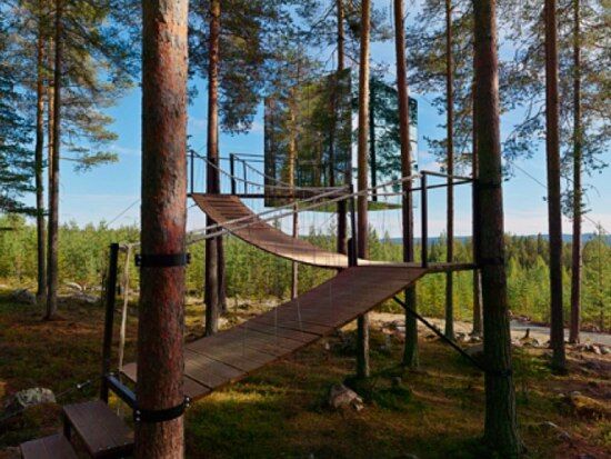 дом на дереве