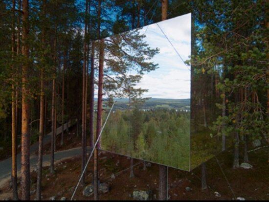 дом на дереве