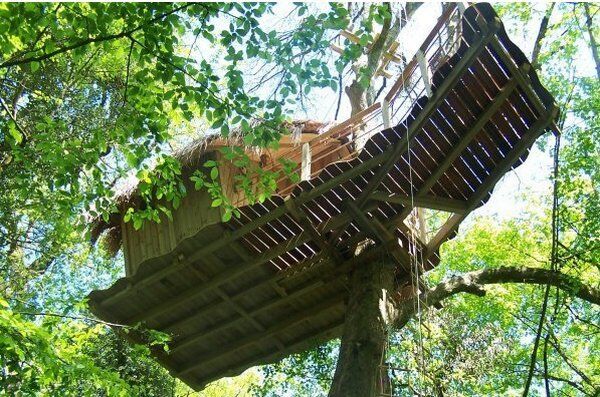 дом на дереве