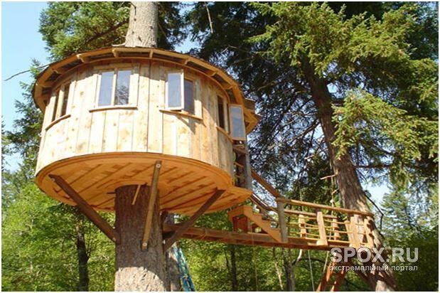дом на дереве