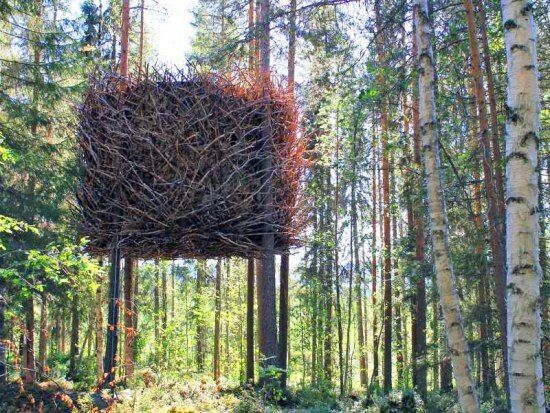 дом на дереве