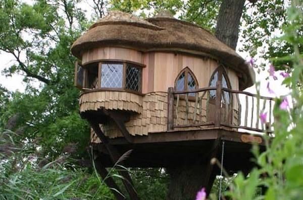 дом на дереве