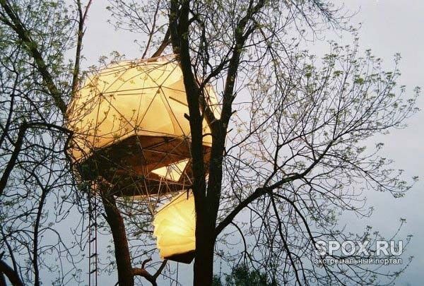 дом на дереве