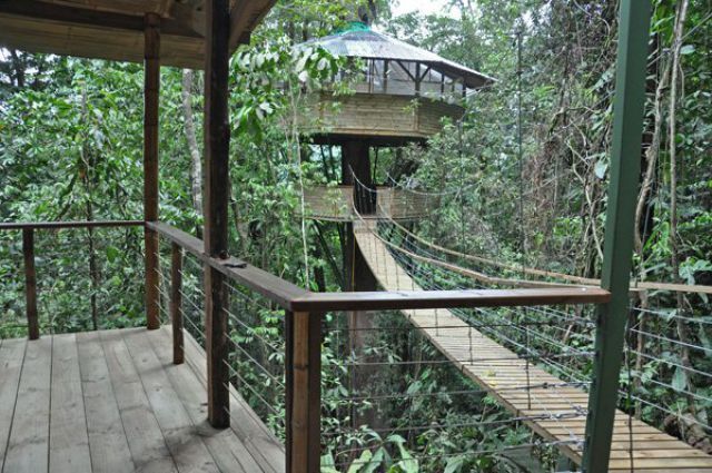 дом на дереве