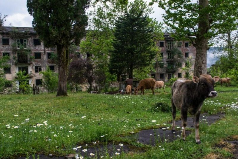 Дух апокалипсиса. Часть 2: Заброшенные города Абхазии