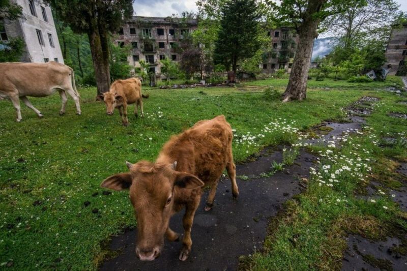 Дух апокалипсиса. Часть 2: Заброшенные города Абхазии