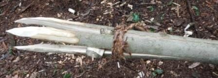 Самодельный гарпун для подводной рыбалки