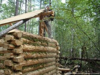 каркас крыши зимовья