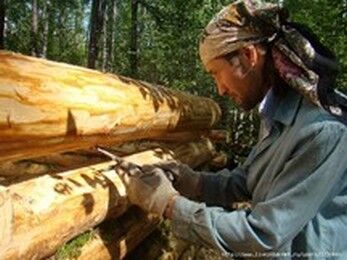 строительство зимовья