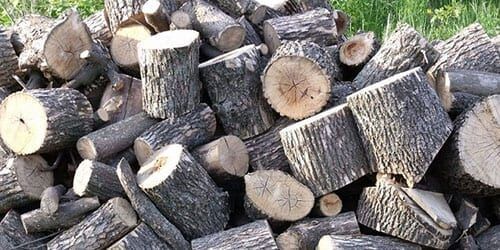 Горение дров из разных пород дерева