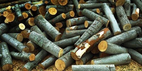 Горение дров из разных пород дерева