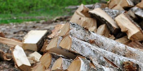 Горение дров из разных пород дерева