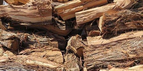 Горение дров из разных пород дерева