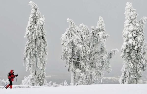 Одинокий лыжник