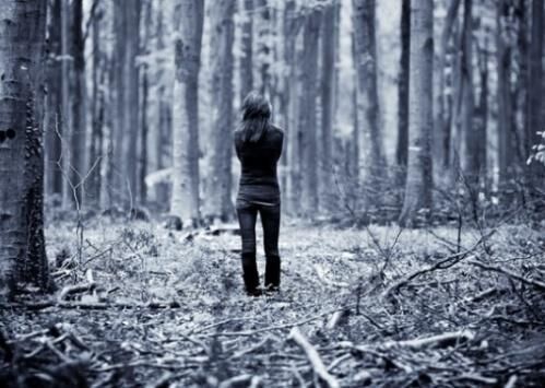 Как найти дорогу по следам деятельности человека Как найти дорогу по следам деятельности человека