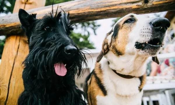 Как полностью исчезнуть из цифрового пространства. Пошаговая инструкция