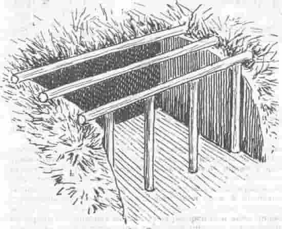 Как построить землянку: основы