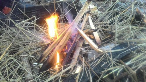 Как развести костер в сыром лесу зимой