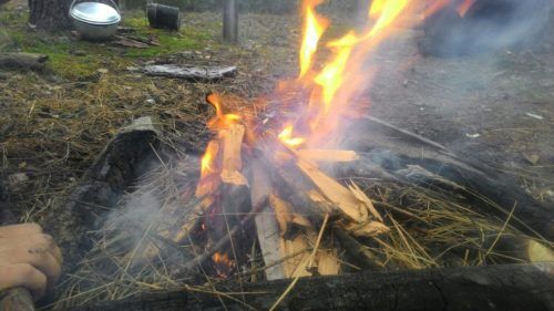 Как развести костер в сыром лесу зимой