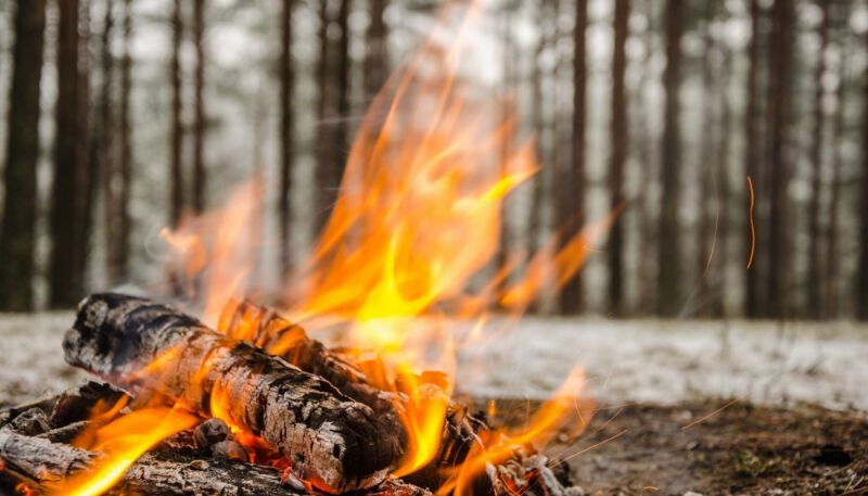 Как развести костер в сыром лесу зимой