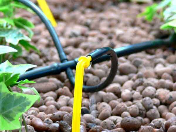 Элемент системы полива