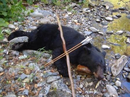 Несколько слов об охоте с луком Несколько слов об охоте с луком