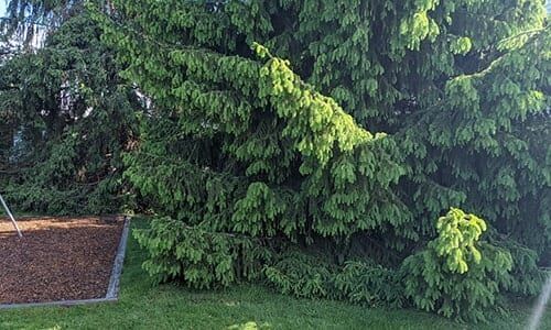 Как сделать скрытое убежище на собственной земле, в городской черте и в лесу