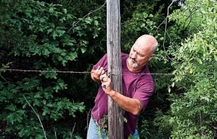 Определяем навыки и территорию для выживания