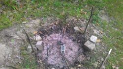 Личный опыт применения дозиметра «СОЭКС Квантум&#187