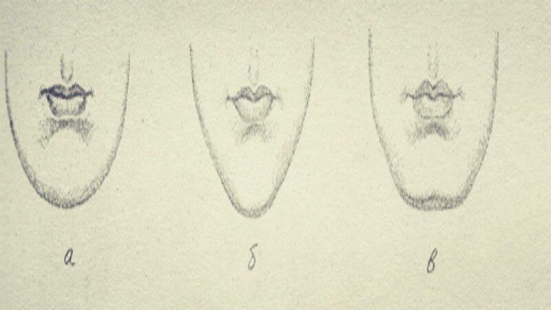 Обмани меня! Профайлинг и методики выявления обмана
