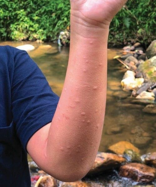 Обувь и одежда для путешествий в дикой природе