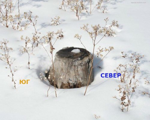 Ориентирование по снегу